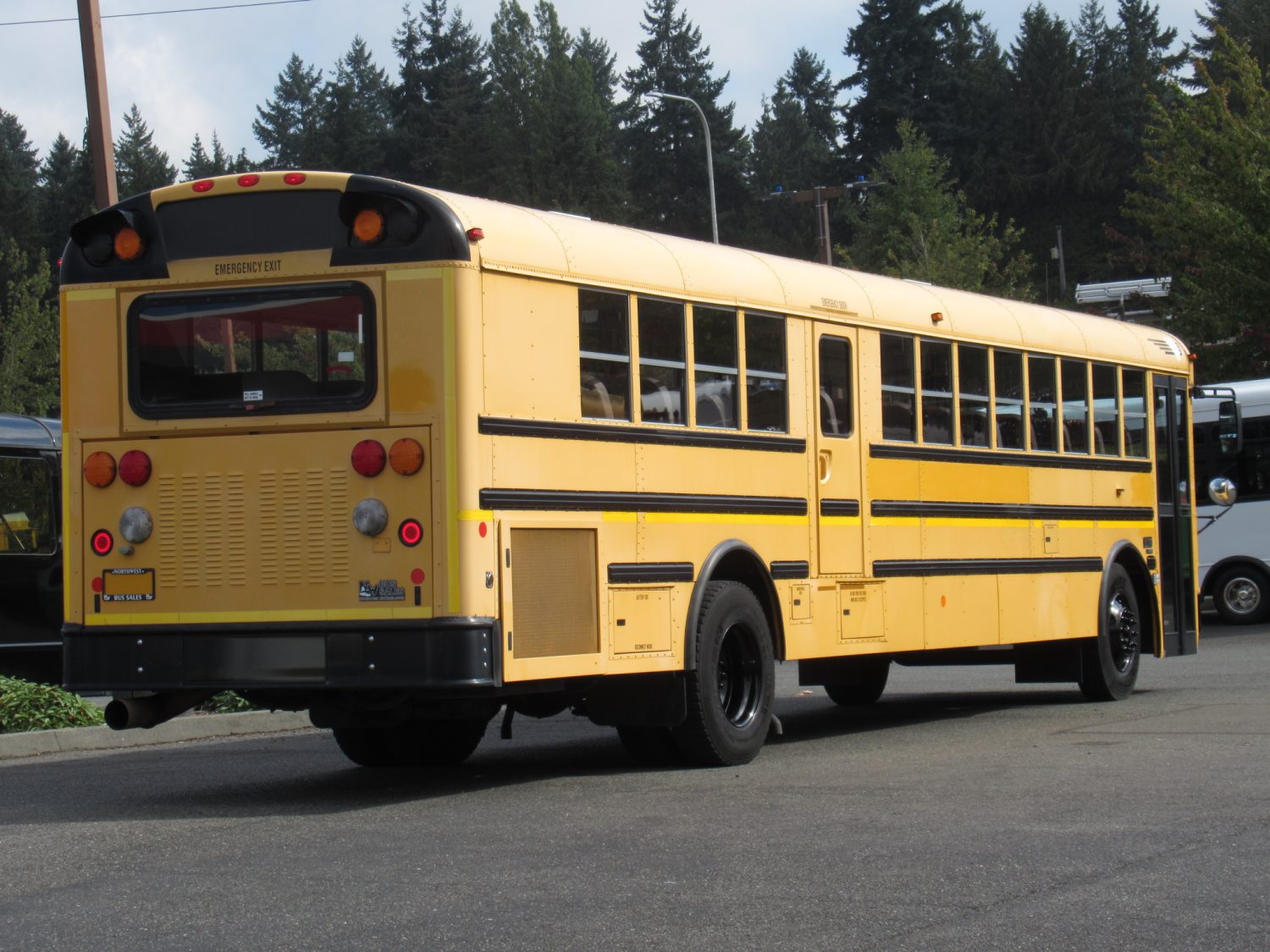 2009 International RE-300 78 Passenger School Bus - B47232 - Image 3