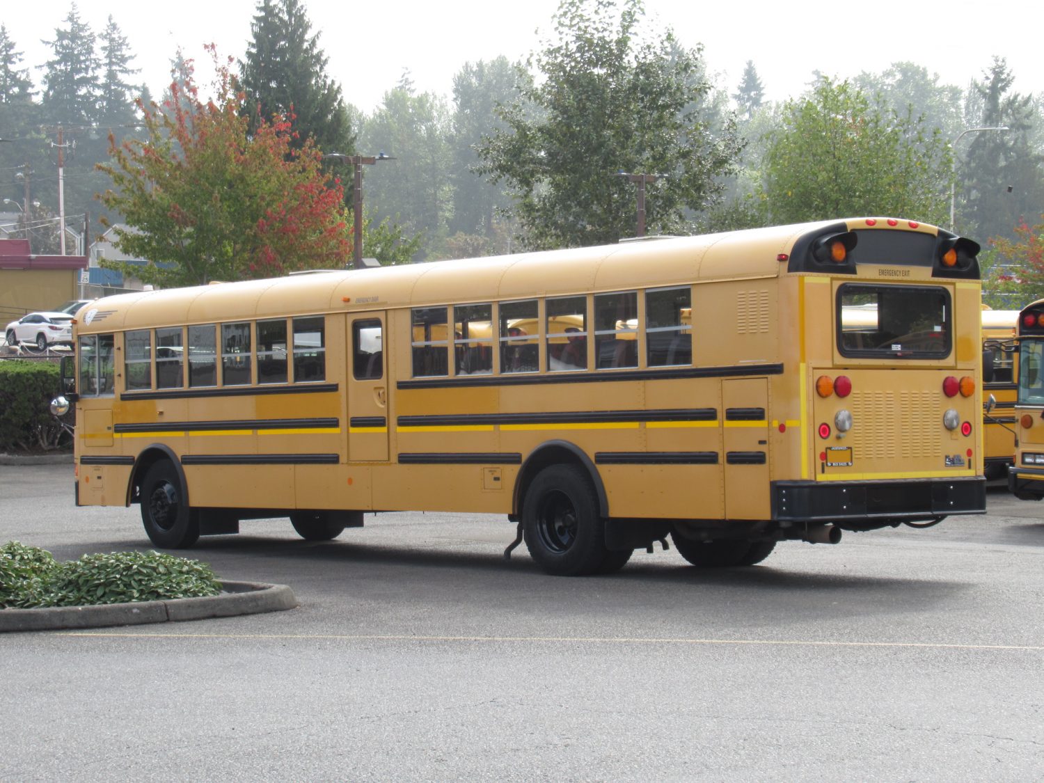 2009 International RE-300 78 Passenger School Bus - B47232 - Image 4