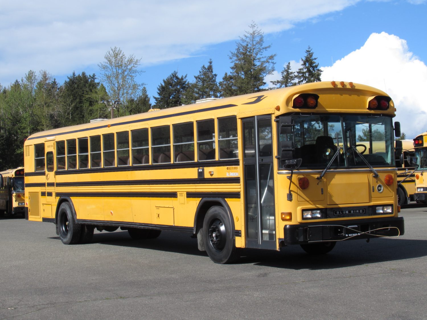 2001 Blue Bird All American 84 Passenger School Bus - B00845