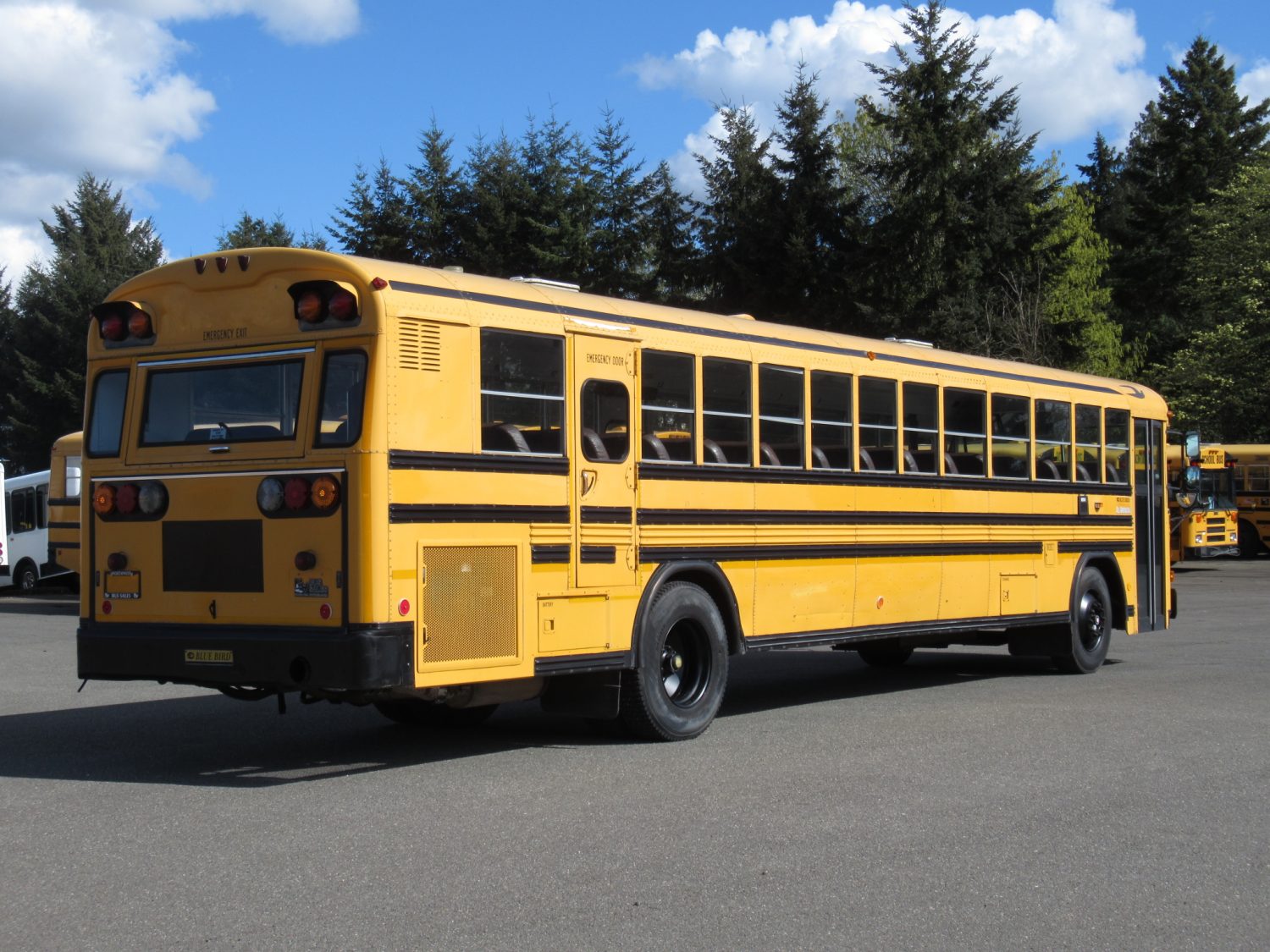 2001 Blue Bird All American 84 Passenger School Bus - B00845 - Image 3