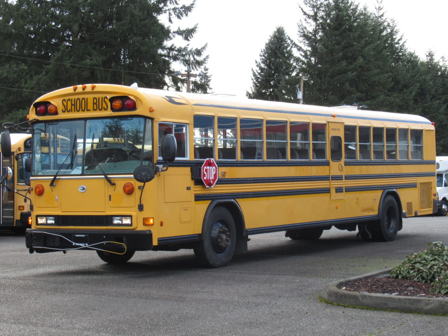 2003 Blue Bird All American 84 Passenger School Bus - B11044 - Image 2