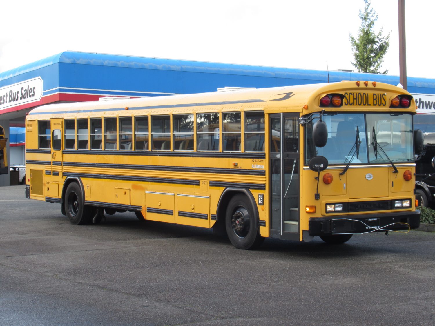 2003 Blue Bird All American 84 Passenger School Bus - B11044