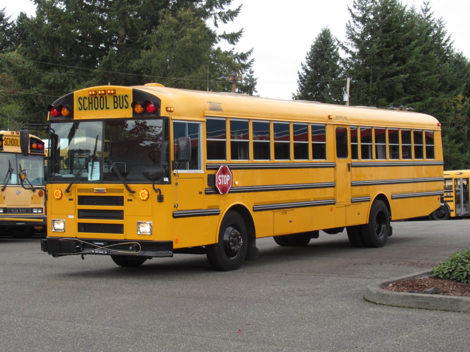 2009 Thomas Saf-T-Liner 78 Passenger School Bus - B13404 - Image 2