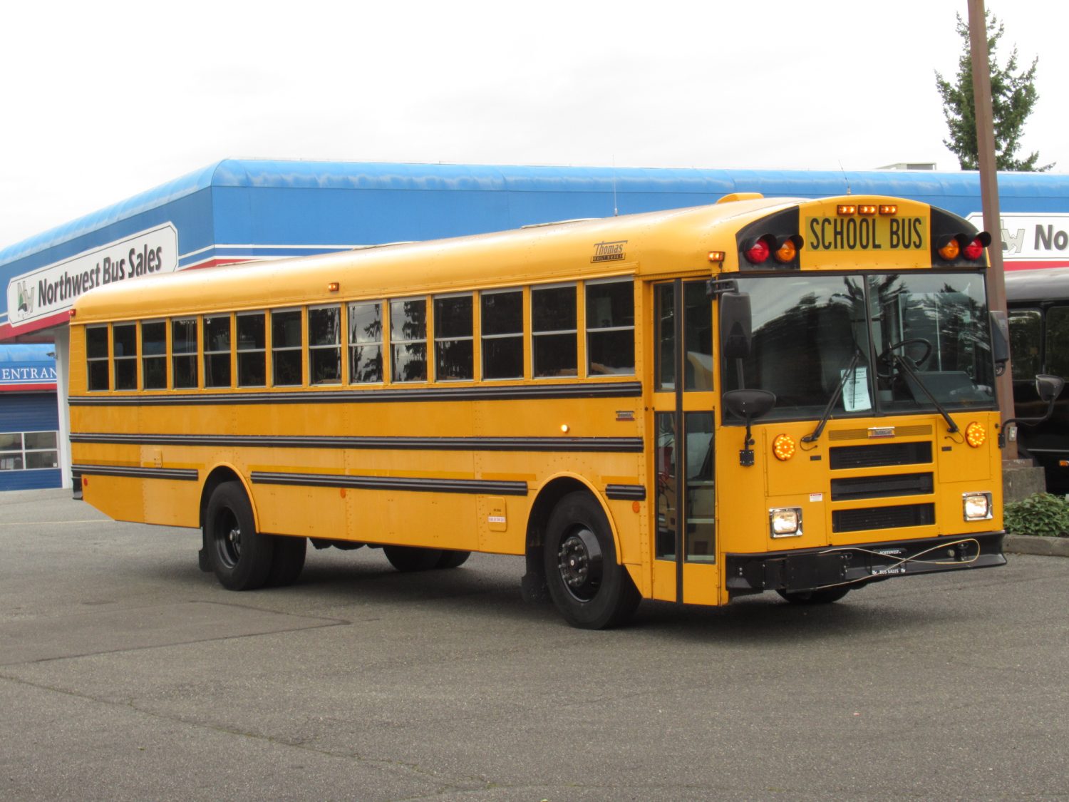 2009 Thomas Saf-T-Liner 78 Passenger School Bus - B13404