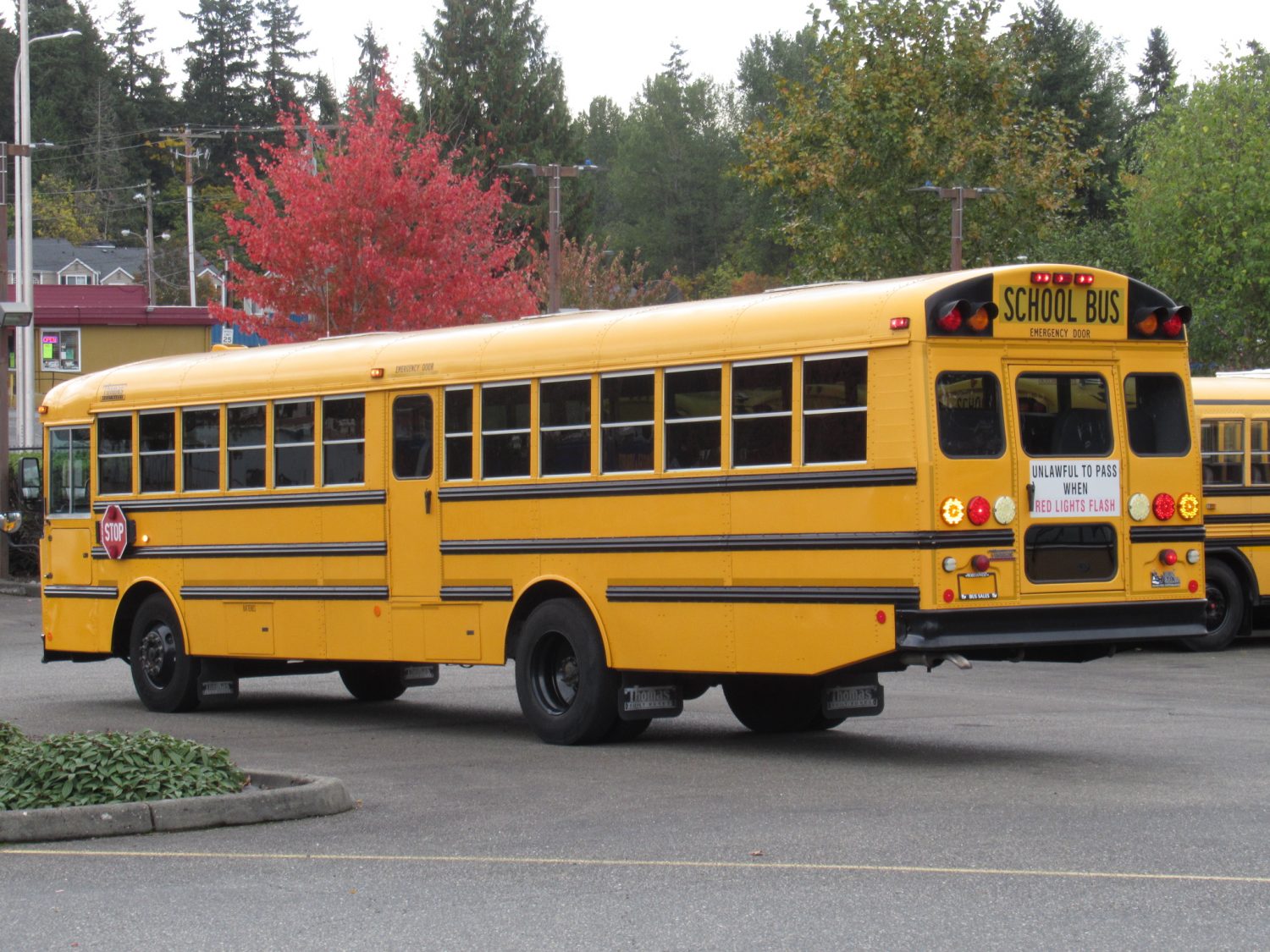2009 Thomas Saf-T-Liner 78 Passenger School Bus - B13404 - Image 4