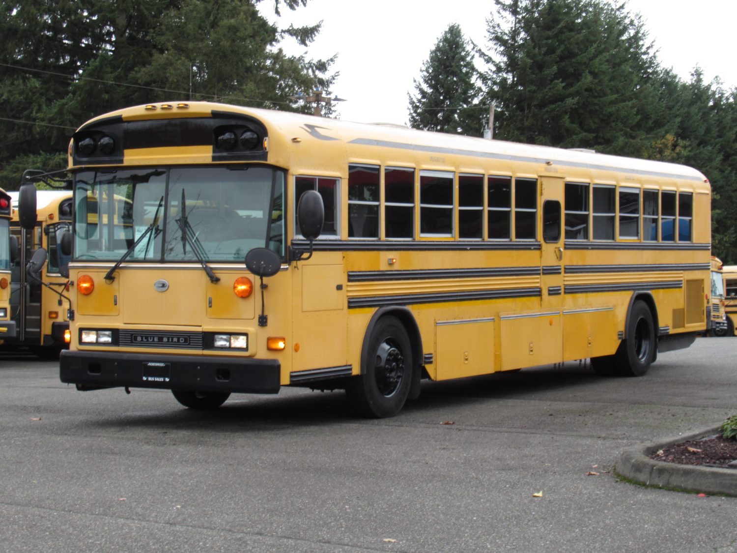 2008 Blue Bird All American 78 Passenger School Bus - B49891 - Image 2