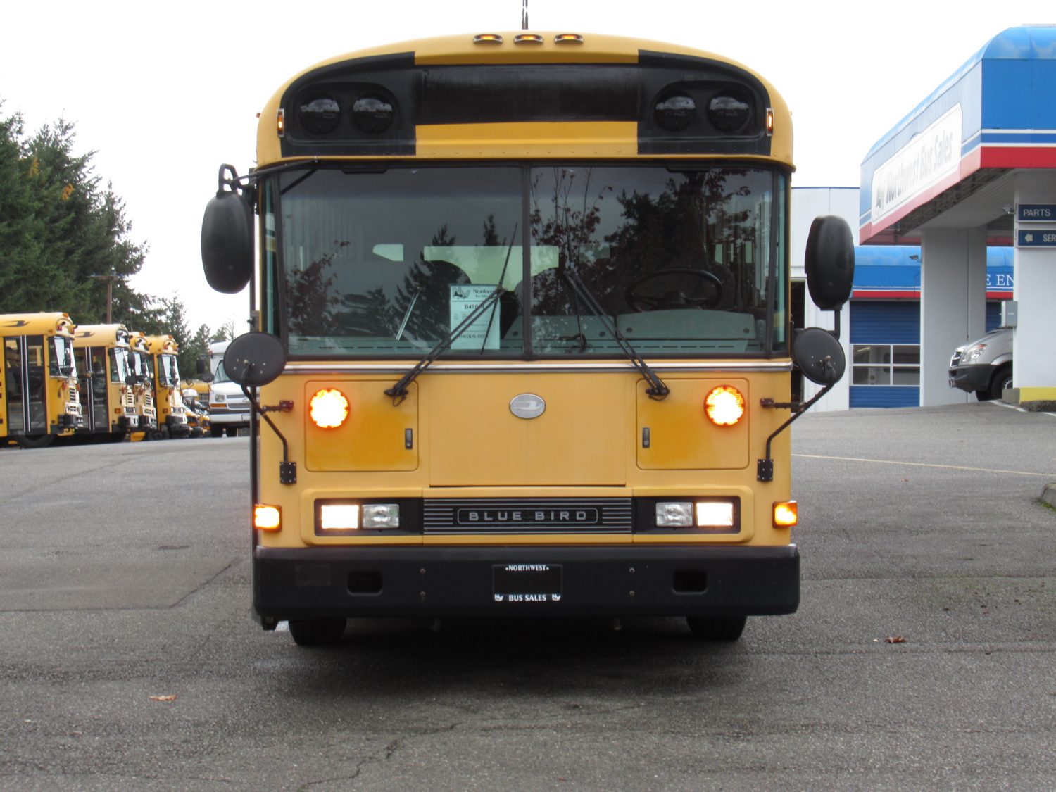 2008 Blue Bird All American 78 Passenger School Bus - B49891 - Image 12