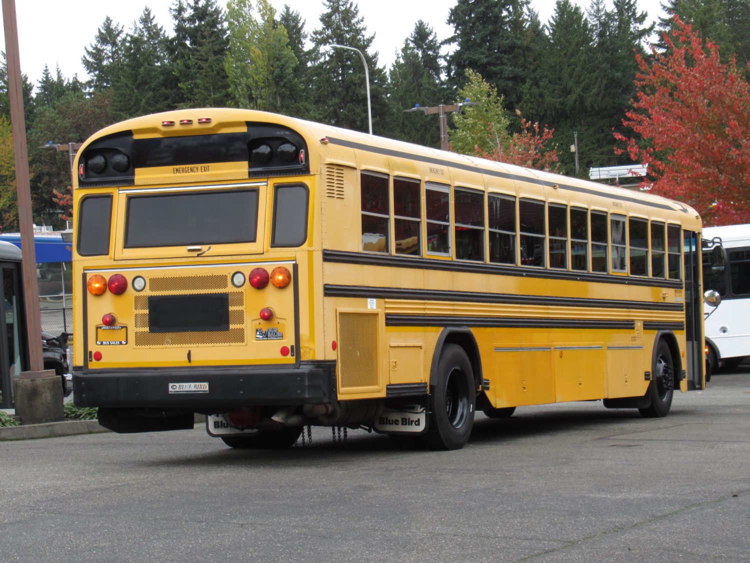 2008 Blue Bird All American 78 Passenger School Bus - B49891 - Image 3