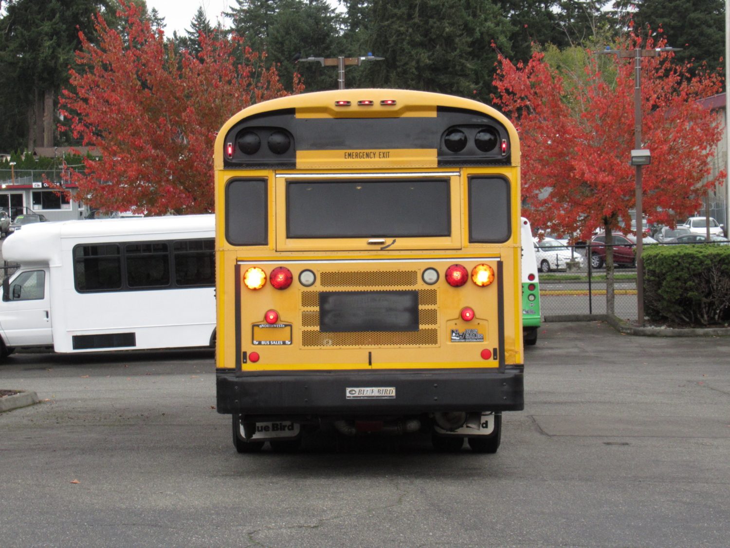 2008 Blue Bird All American 78 Passenger School Bus - B49891 - Image 11