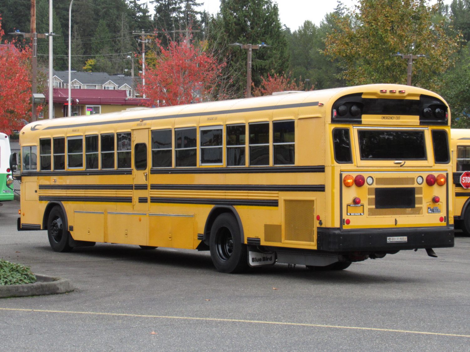 2008 Blue Bird All American 78 Passenger School Bus - B49891 - Image 4