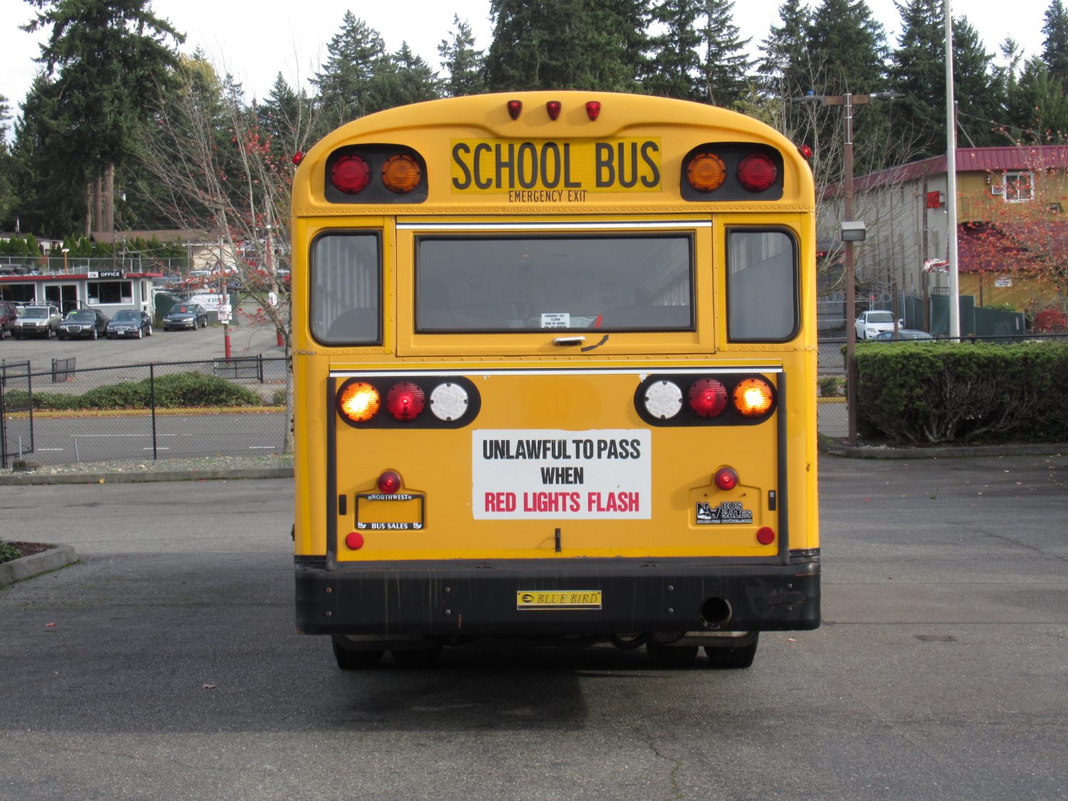 2003 Blue Bird All American 84 Passenger School Bus - B08927 - Image 11