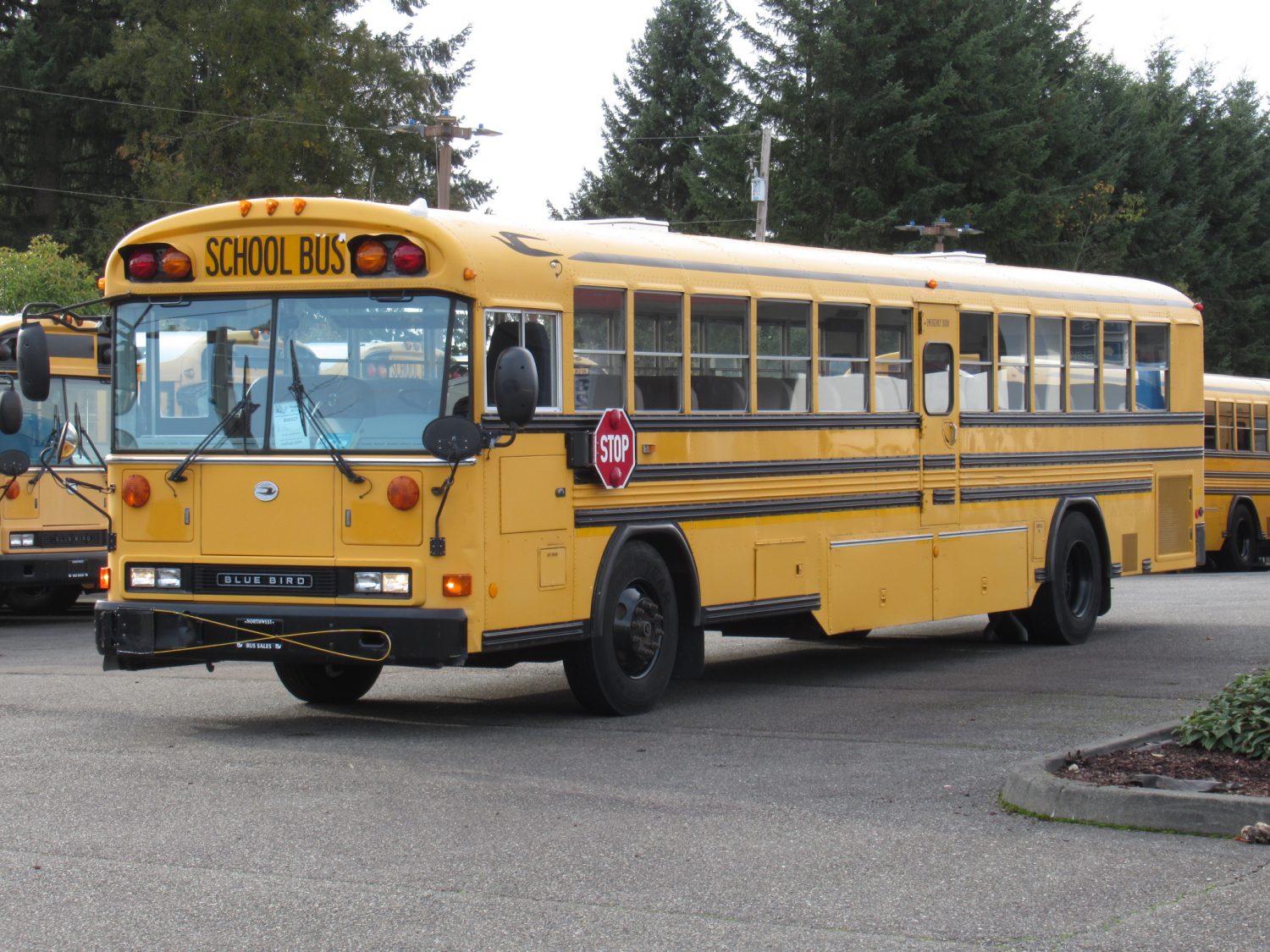 2003 Blue Bird All American 84 Passenger School Bus - B08927 - Image 2