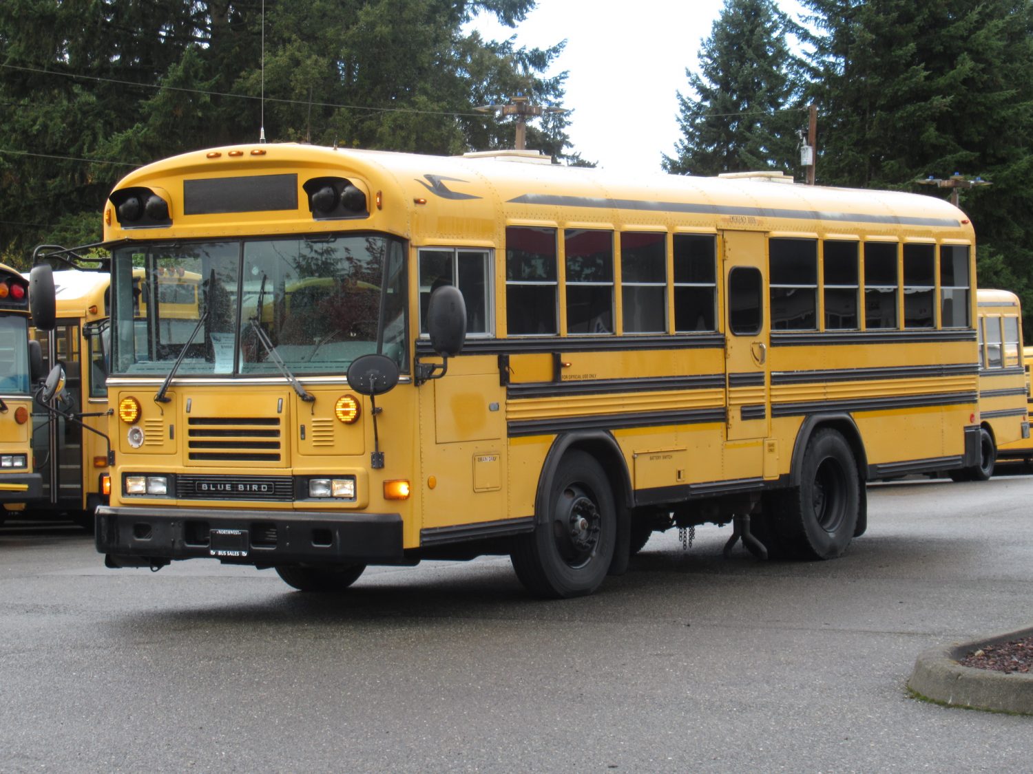 2004 Blue Bird All American 45 Passenger Short School Bus - B18595 - Image 2