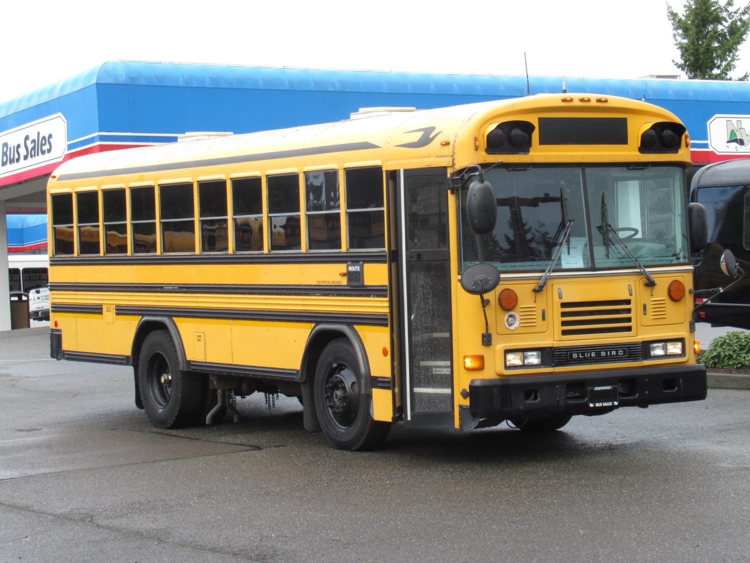 2004 Blue Bird All American 45 Passenger Short School Bus - B18595