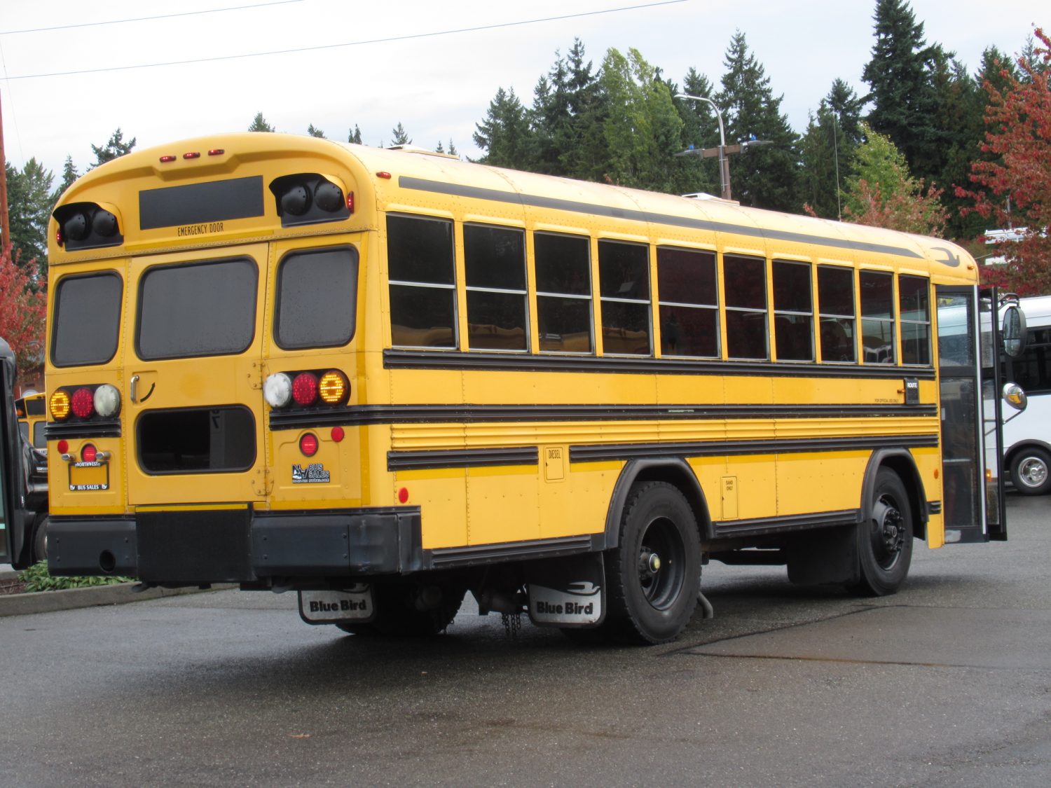 2004 Blue Bird All American 45 Passenger Short School Bus - B18595 - Image 3