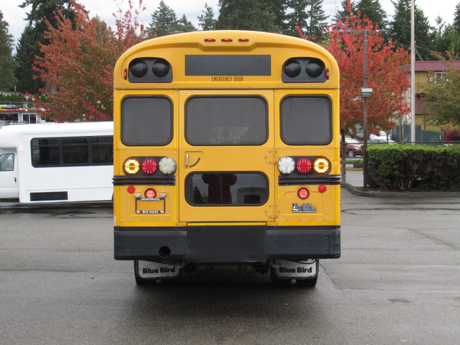 2004 Blue Bird All American 45 Passenger Short School Bus - B18595 - Image 11