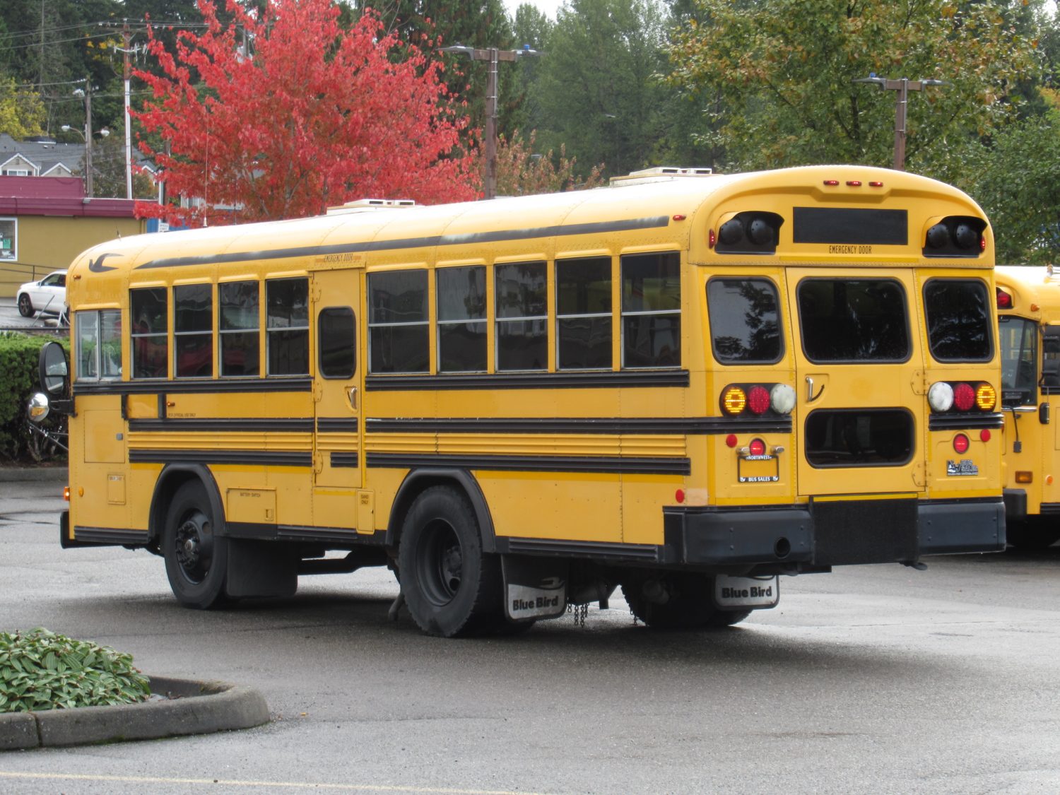 2004 Blue Bird All American 45 Passenger Short School Bus - B18595 - Image 4