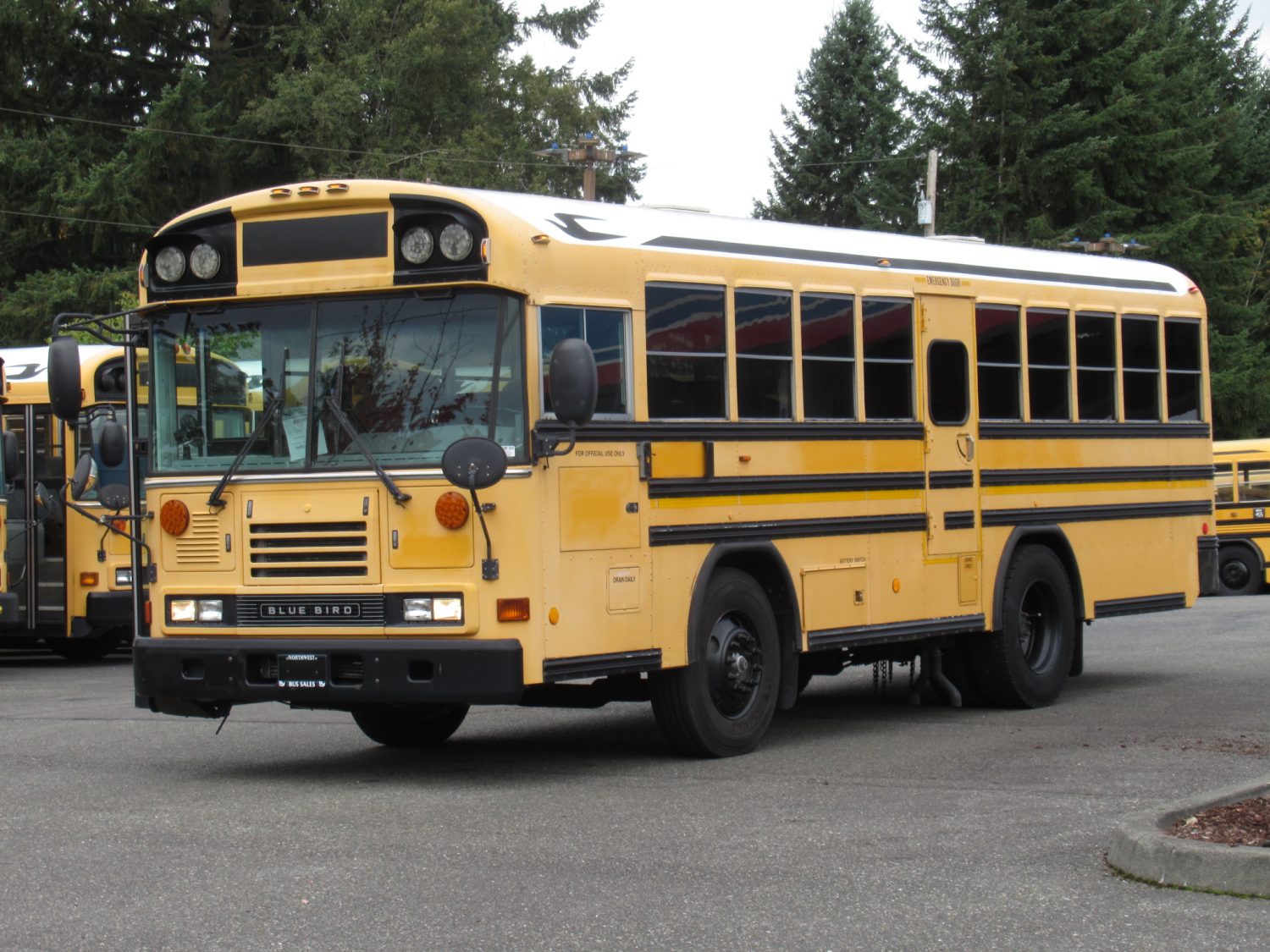 2006 Blue Bird All American 20 Passenger + 2 Wheelchair Short School Bus - B37891 - Image 2