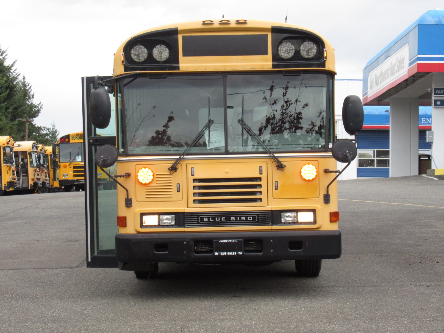 2006 Blue Bird All American 20 Passenger + 2 Wheelchair Short School Bus - B37891 - Image 12