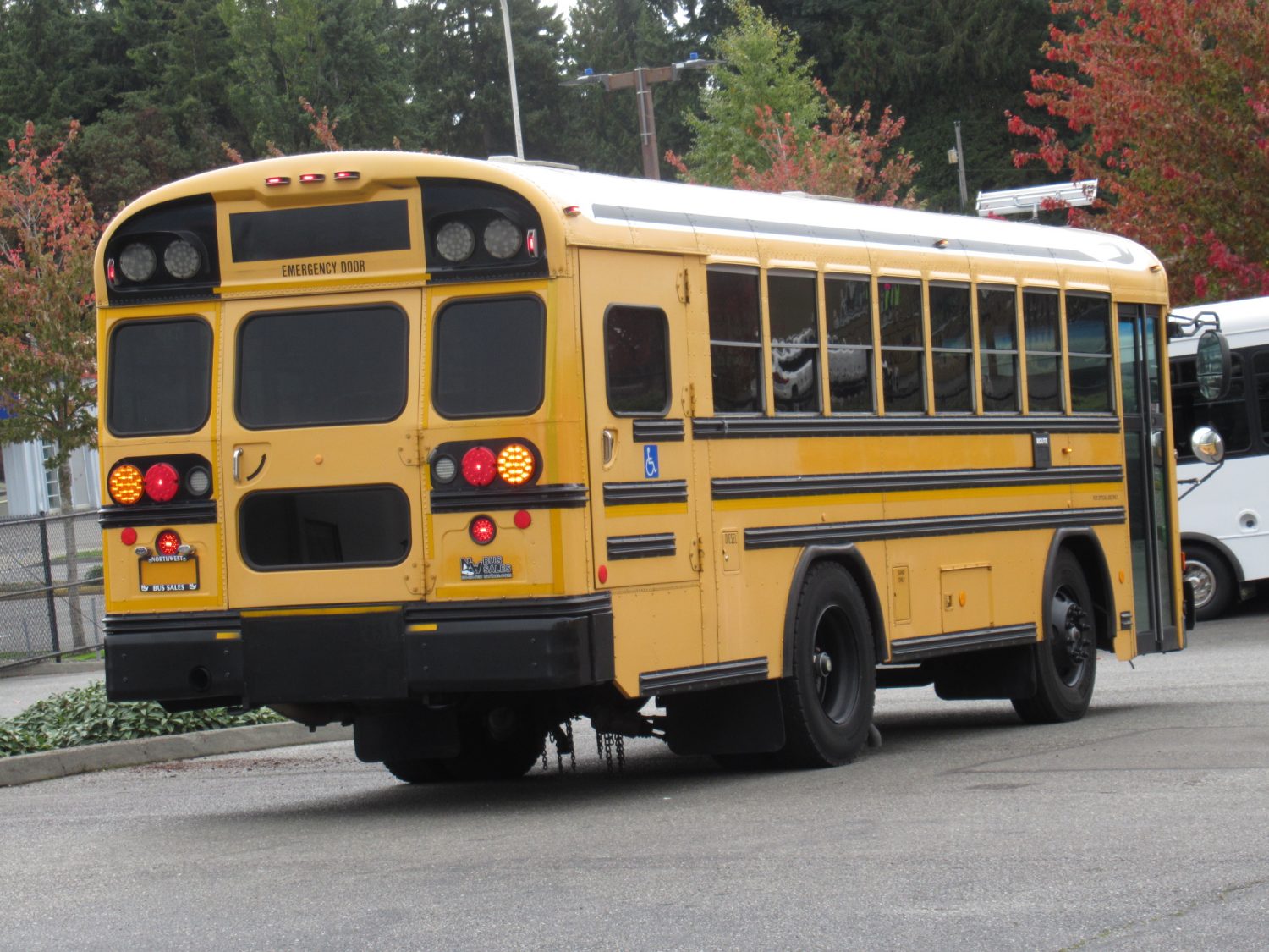 2006 Blue Bird All American 20 Passenger + 2 Wheelchair Short School Bus - B37891 - Image 3