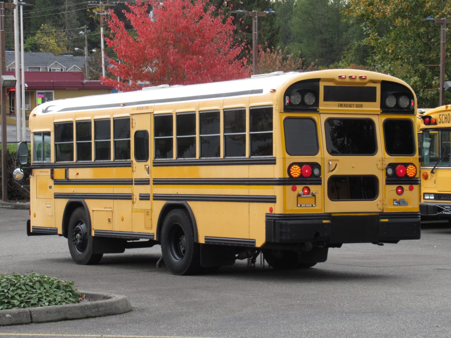 2006 Blue Bird All American 20 Passenger + 2 Wheelchair Short School Bus - B37891 - Image 4