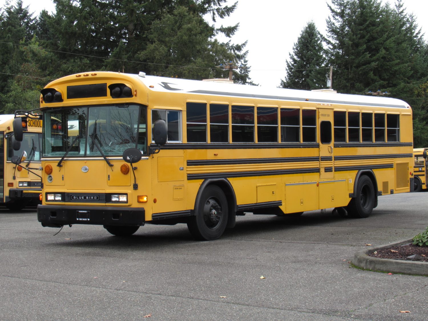 2003 Blue Bird All American 75 Passenger School Bus - B12395 - Image 3