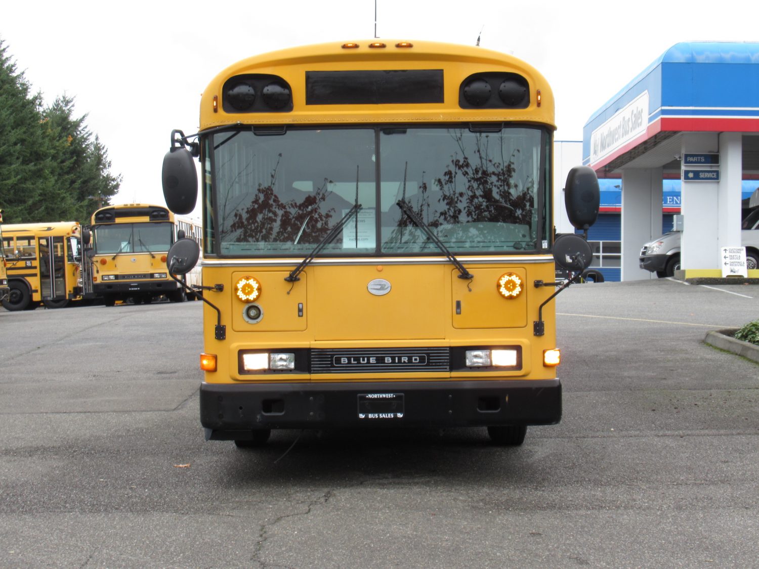 2003 Blue Bird All American 75 Passenger School Bus - B12395 - Image 13