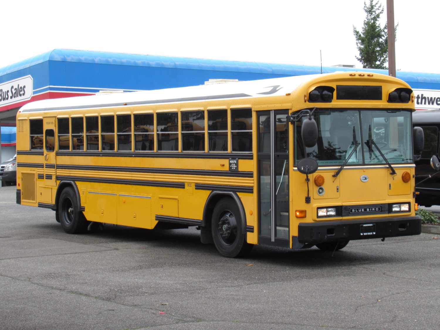 2003 Blue Bird All American 75 Passenger School Bus - B12395