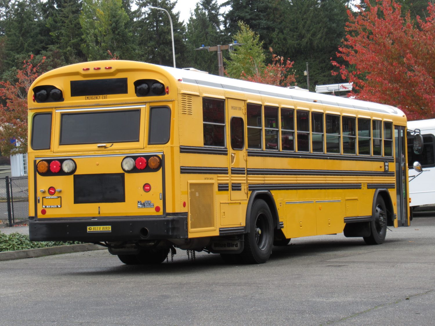 2003 Blue Bird All American 75 Passenger School Bus - B12395 - Image 4