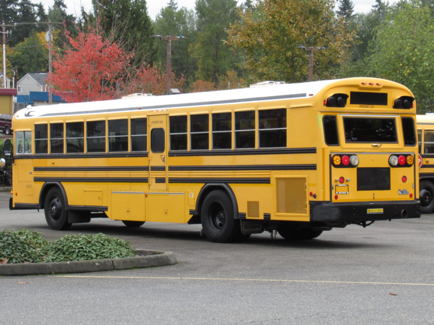 2003 Blue Bird All American 75 Passenger School Bus - B12395 - Image 5