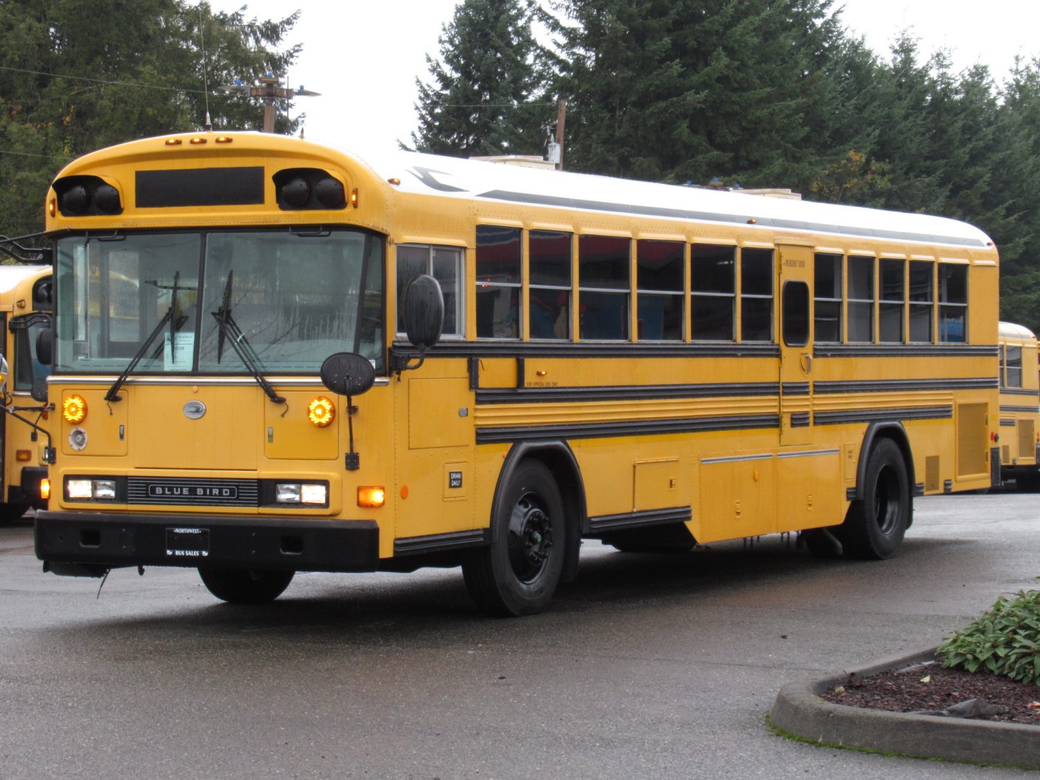 2003 Blue Bird All American 75 Passenger School Bus - B12398 - Image 2