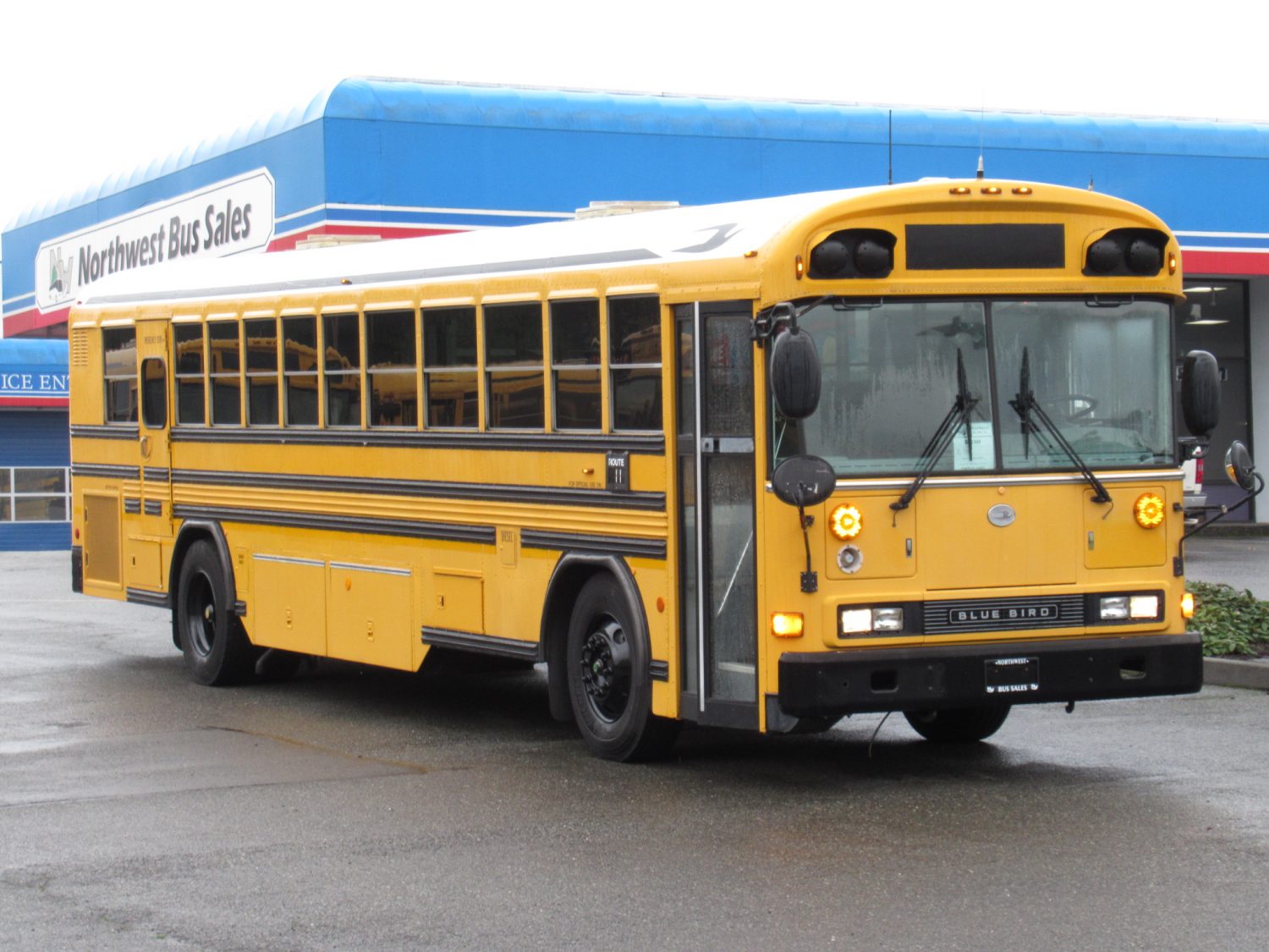 2003 Blue Bird All American 75 Passenger School Bus - B12398