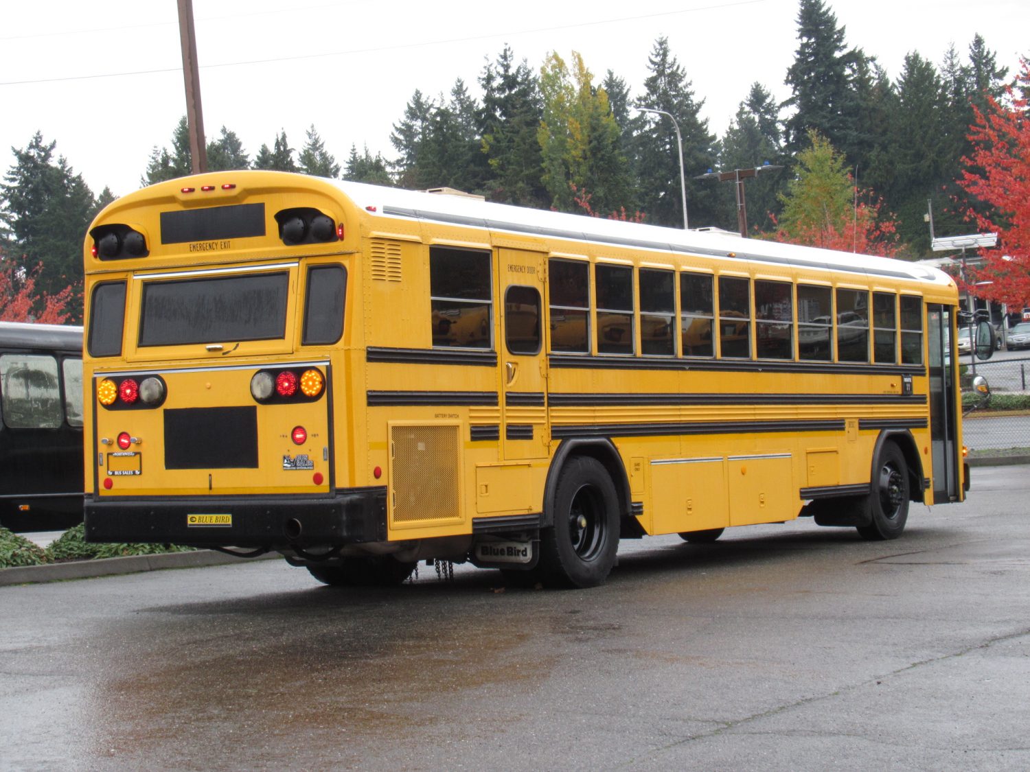 2003 Blue Bird All American 75 Passenger School Bus - B12398 - Image 3
