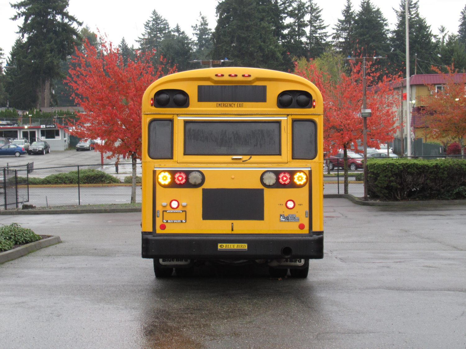 2003 Blue Bird All American 75 Passenger School Bus - B12398 - Image 11