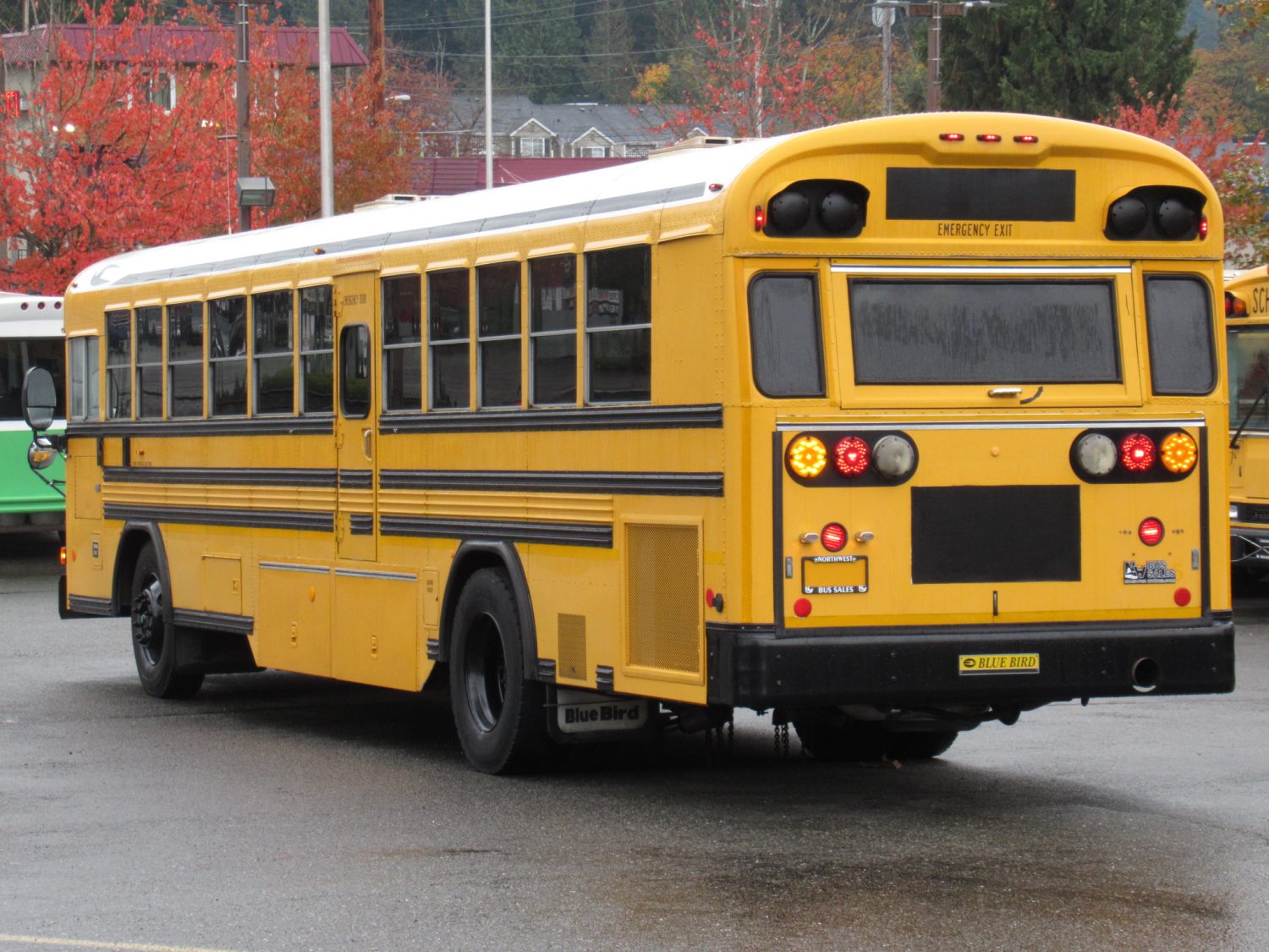 2003 Blue Bird All American 75 Passenger School Bus - B12398 - Image 4