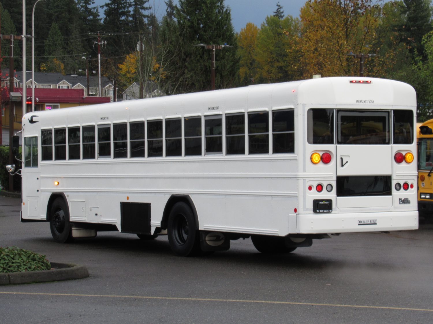 2011 Bluebird All American 44 Passenger School Bus - B81542 - Image 4