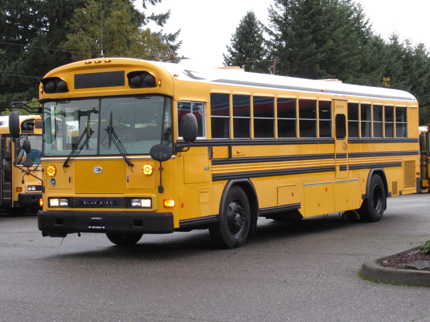 2003 Blue Bird All American 75 Passenger School Bus - B12399 - Image 2