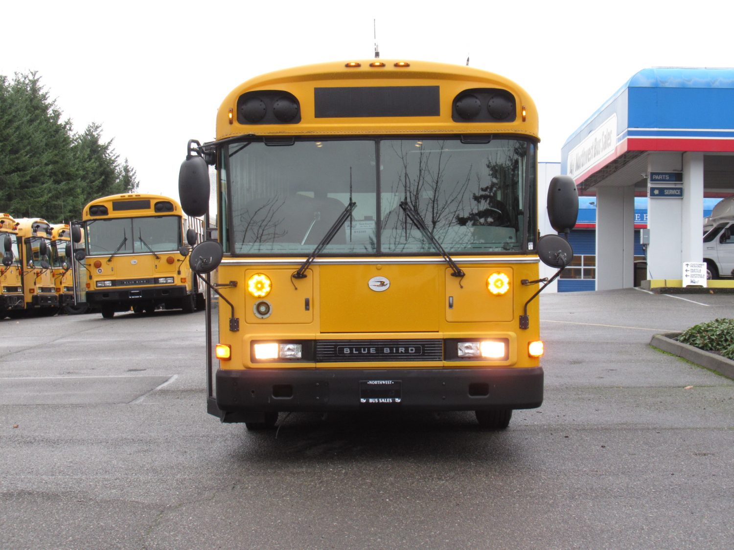 2003 Blue Bird All American 75 Passenger School Bus - B12399 - Image 12