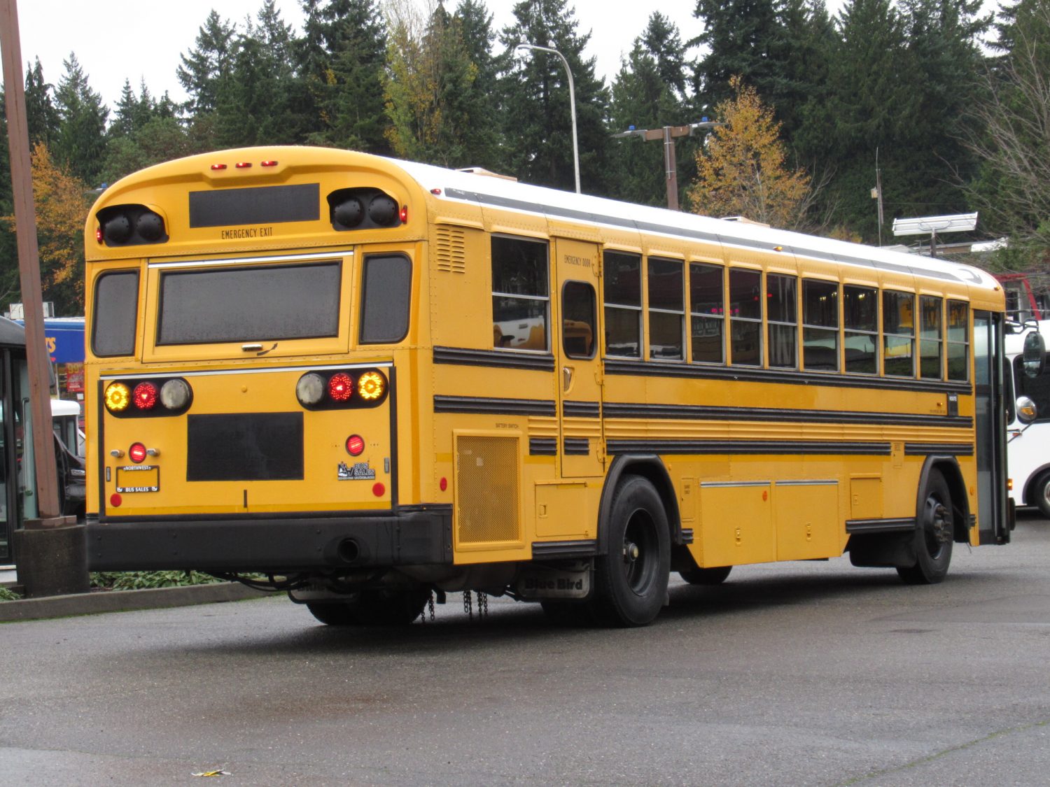 2003 Blue Bird All American 75 Passenger School Bus - B12399 - Image 3