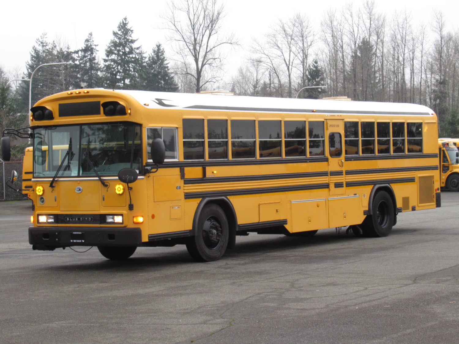 2003 Blue Bird All American 75 Passenger School Bus - B12397 - Image 4