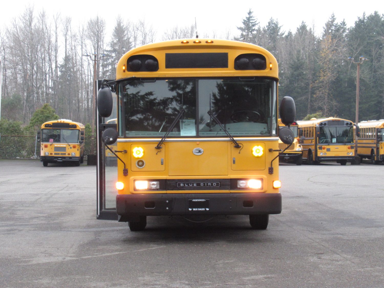 2003 Blue Bird All American 75 Passenger School Bus - B12397 - Image 12