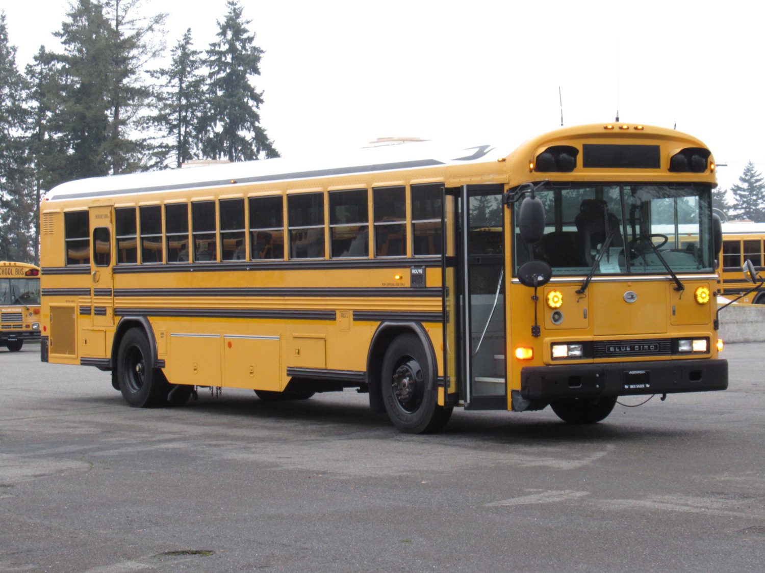 2003 Blue Bird All American 75 Passenger School Bus - B12397