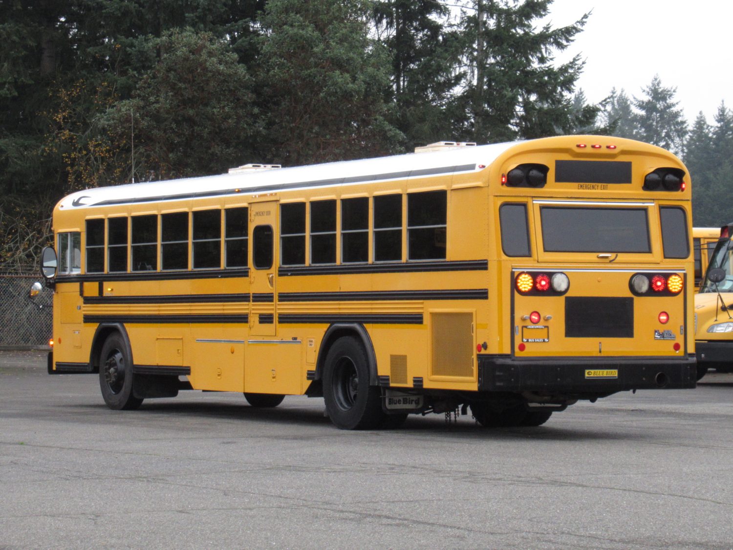 2003 Blue Bird All American 75 Passenger School Bus - B12397 - Image 3