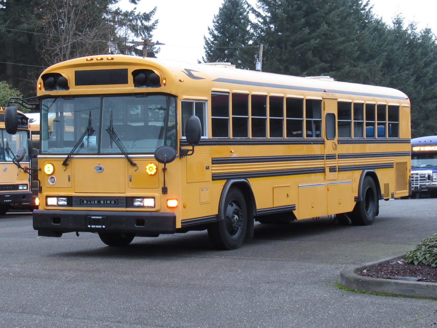 2004 Blue Bird All American 75 Passenger School Bus - B18598 - Image 2