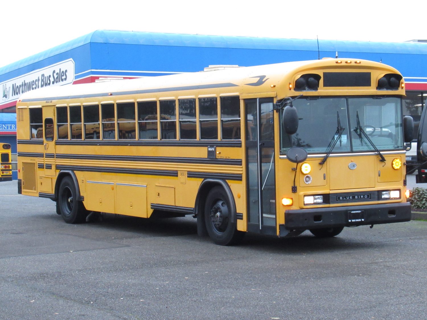 2004 Blue Bird All American 75 Passenger School Bus - B18598