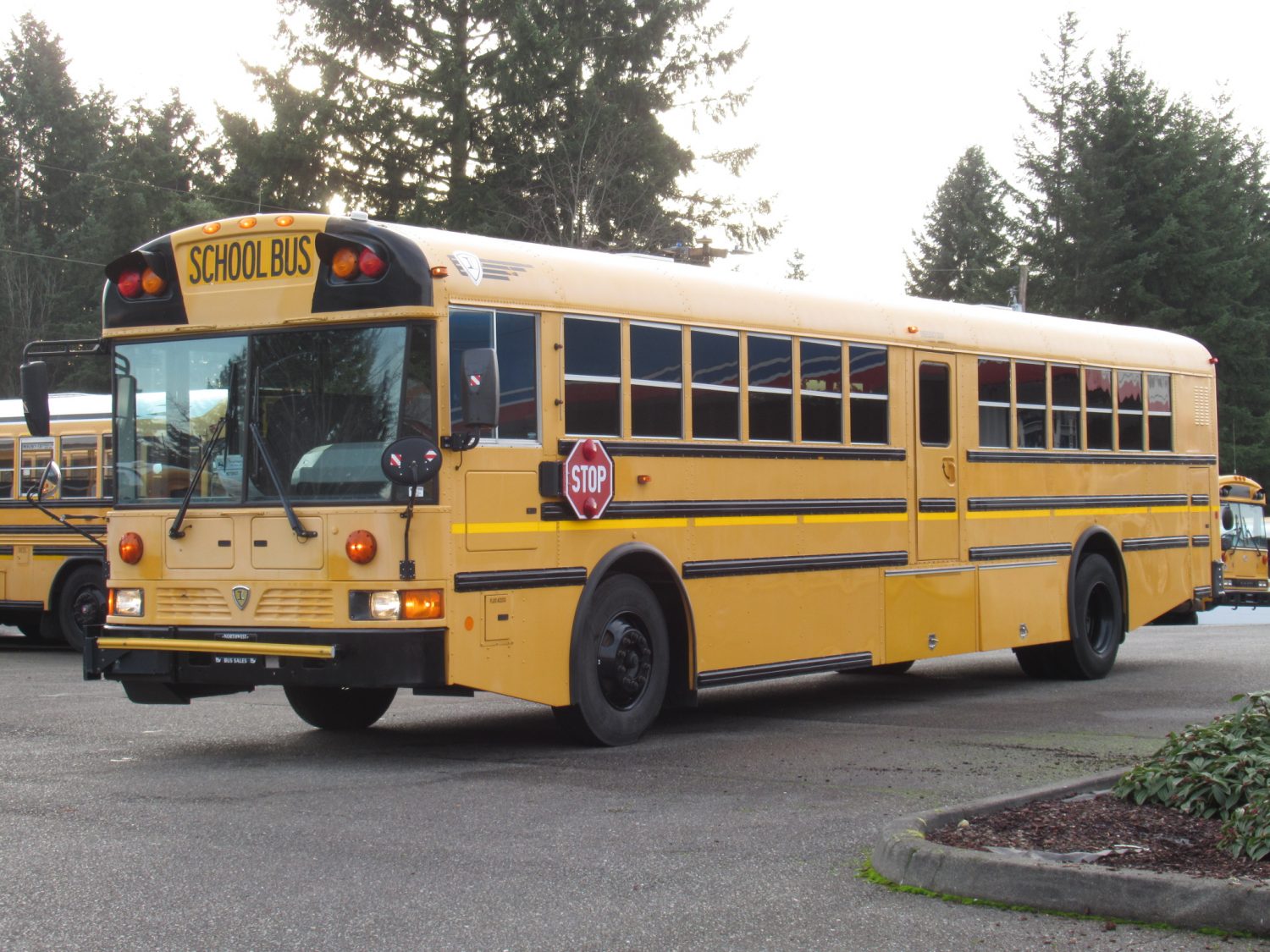 2009 International RE-300 78 Passenger School Bus - B72937 - Image 2