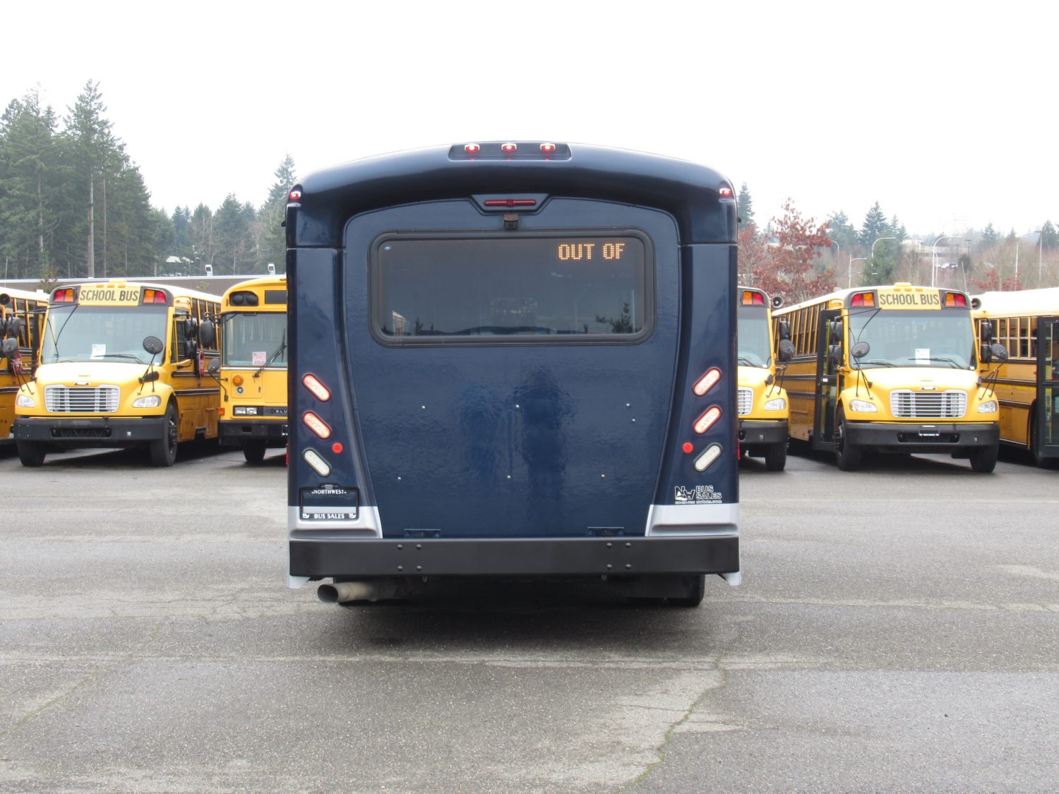 2015 Chevrolet Arboc Spirit of Mobility 19 Passenger ADA Shuttle Bus - S21698 - Image 11