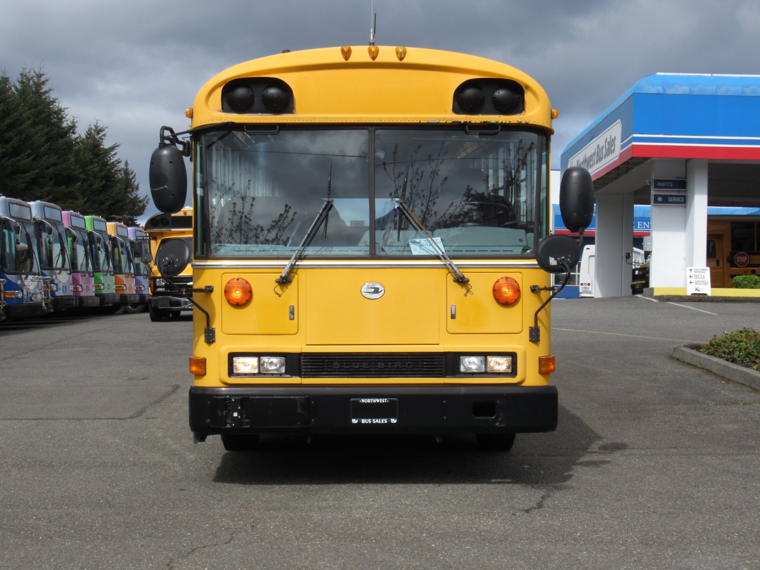 2003 Blue Bird All American 81 Passenger School Bus - B13149 - Image 12