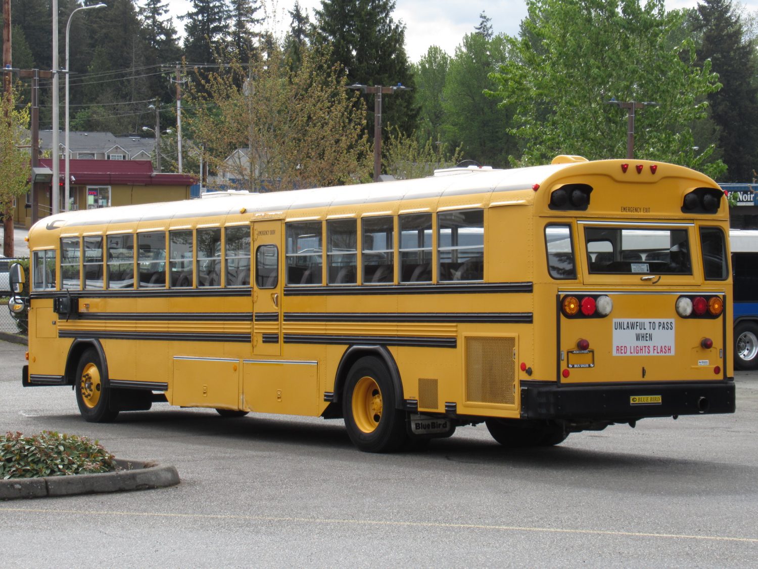 2003 Blue Bird All American 81 Passenger School Bus - B13149 - Image 4