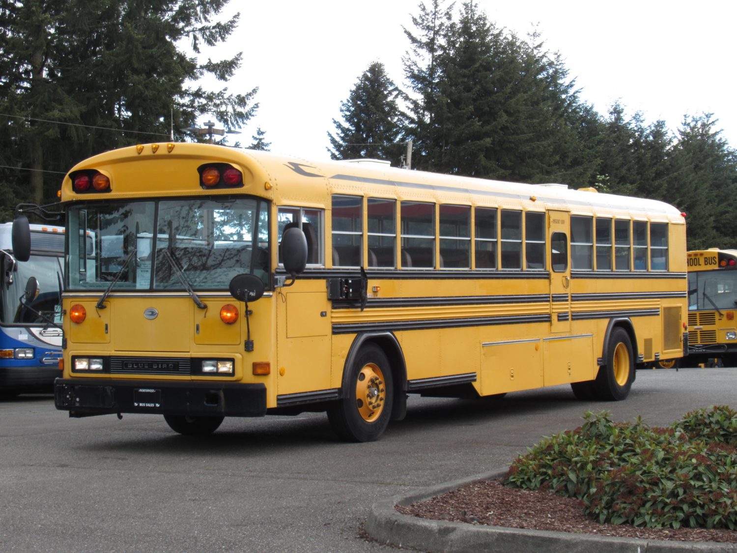 2003 Blue Bird All American 81 Passenger School Bus - B13148 - Image 2